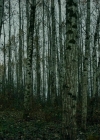 VampireDiariesWorld-dot-nll_AmishAbduction0543.jpg
