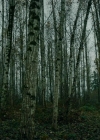 VampireDiariesWorld-dot-nll_AmishAbduction0546.jpg