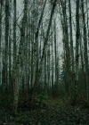 VampireDiariesWorld-dot-nll_AmishAbduction0550.jpg