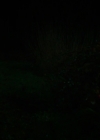 VampireDiariesWorld-dot-nll_AmishAbduction4699.jpg