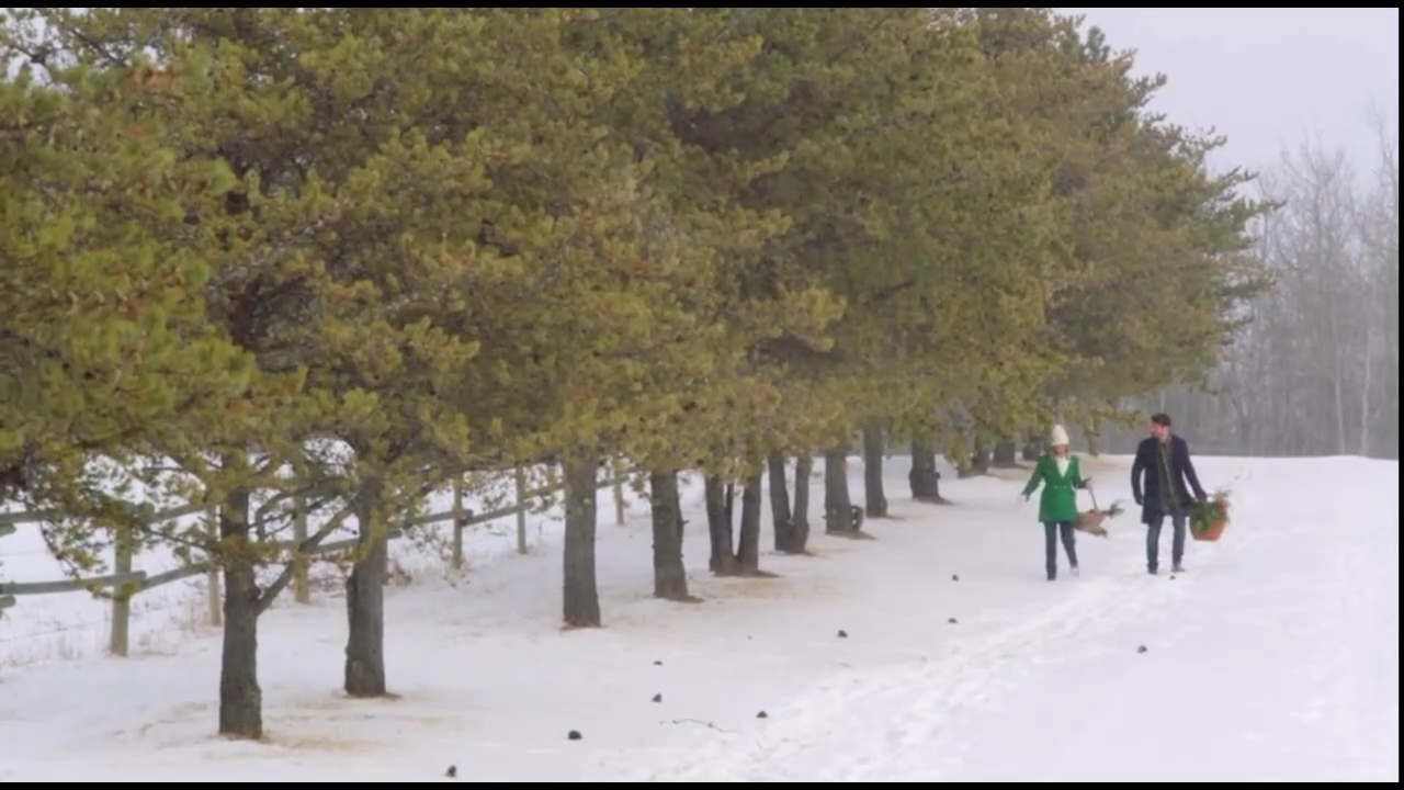 VampireDiariesWorld-CoupledUpForChristmas3411.jpg