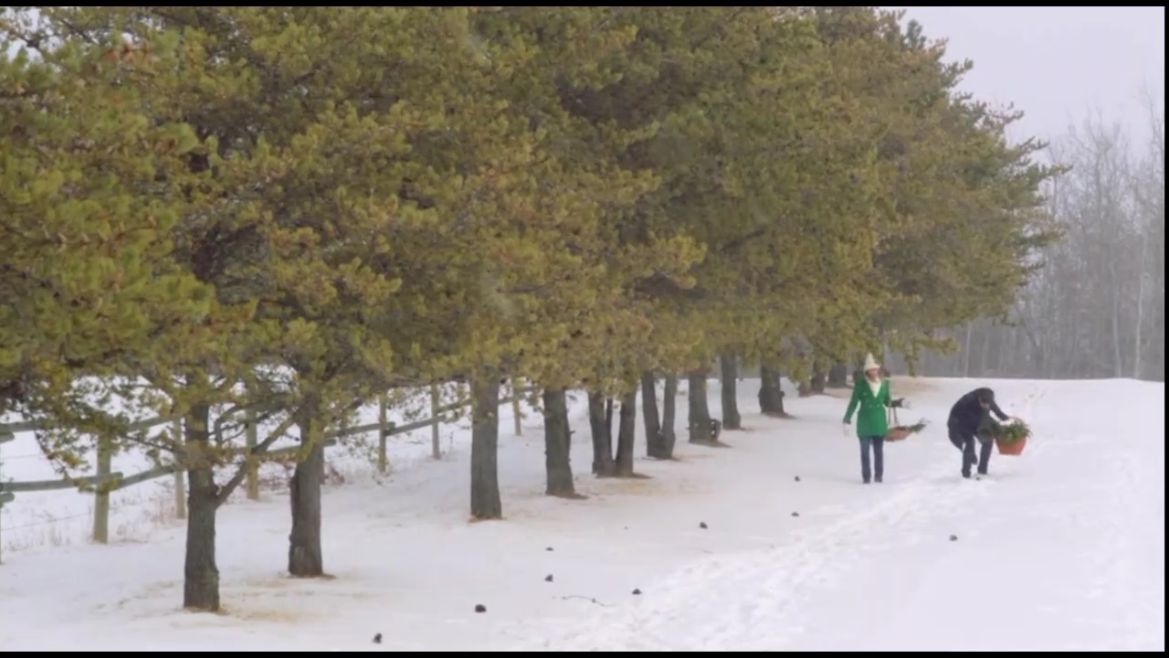 VampireDiariesWorld-CoupledUpForChristmas3412.jpg