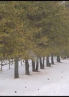 VampireDiariesWorld-CoupledUpForChristmas3408.jpg