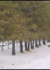 VampireDiariesWorld-CoupledUpForChristmas3415.jpg