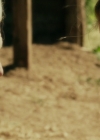 Filename=VampireDiariesWorld-dot-NL_Eadweard5509.jpg
Filesize=698KiB
Dimensions=1920x806
Date added=Oct 29, 2017 VampireDiariesWorld-dot-NL_Eadweard5509.jpg