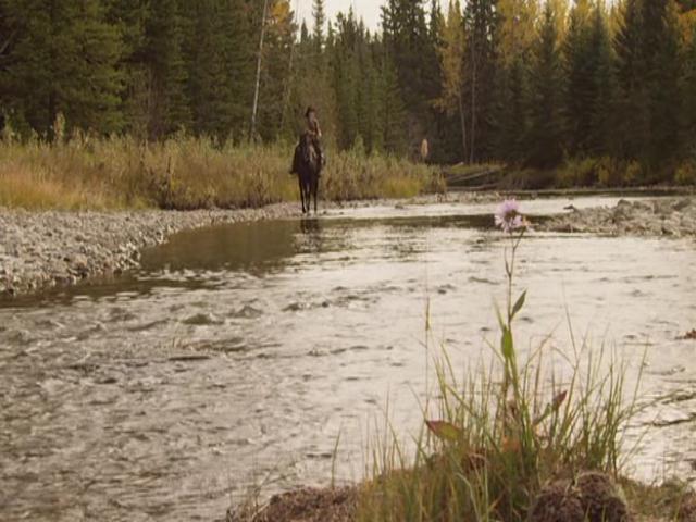 VampireDiariesWorld-dot-org_HannahsLaw2493.jpg