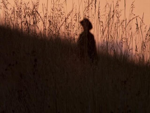 VampireDiariesWorld-dot-org_HannahsLaw3816.jpg VampireDiariesWorld-dot-org_HannahsLaw3816.jpg