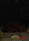 Filename=VampireDiariesWorld-dot-nl_Superhost4823.jpg
Filesize=179KiB
Dimensions=1280x534
Date added=Jan 15, 2023 VampireDiariesWorld-dot-nl_Superhost4823.jpg