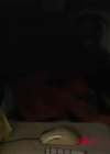 Filename=VampireDiariesWorld-dot-nl_Superhost4825.jpg
Filesize=188KiB
Dimensions=1280x534
Date added=Jan 15, 2023 VampireDiariesWorld-dot-nl_Superhost4825.jpg