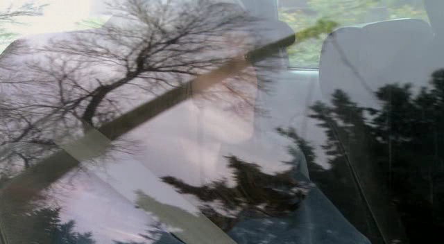 VampireDiariesWorld_dot_org-TakenOnBroadDaylight4469.png