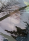 VampireDiariesWorld_dot_org-TakenOnBroadDaylight4469.png