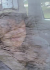 VampireDiariesWorld_dot_org-TakenOnBroadDaylight4483.png