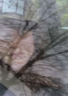 VampireDiariesWorld_dot_org-TakenOnBroadDaylight4485.png