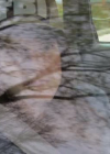 VampireDiariesWorld_dot_org-TakenOnBroadDaylight4488.png