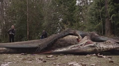 VampireDiariesWorld-dot-org_PrimevalNewWorldS01E01-2179.jpg