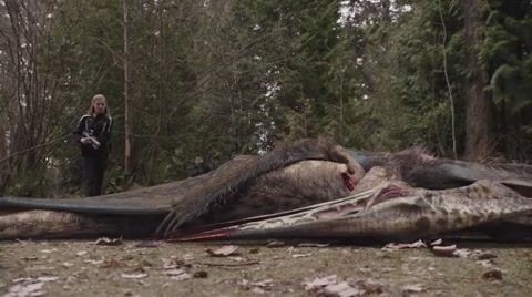 VampireDiariesWorld-dot-org_PrimevalNewWorldS01E01-2182.jpg