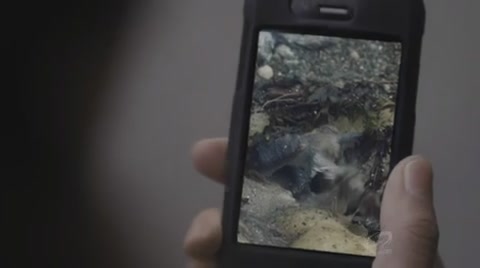 VampireDiariesWorld-dot-org_PrimevalNewWorldS01E02-1367.jpg VampireDiariesWorld-dot-org_PrimevalNewWorldS01E02-1367.jpg