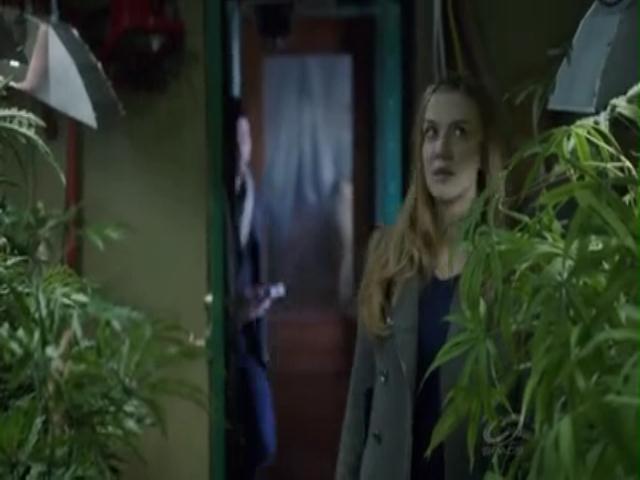 VampireDiariesWorld-dot-org_PrimevalNewWorldS01E04-0663.jpg