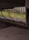 VampireDiariesWorld-dot-org_PrimevalNewWorldS01E04-0626.jpg