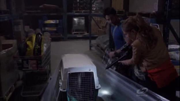 VampireDiariesWorld-dot-org_PrimevalNewWorld-1x061094.jpg VampireDiariesWorld-dot-org_PrimevalNewWorld-1x061094.jpg