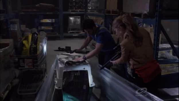 VampireDiariesWorld-dot-org_PrimevalNewWorld-1x061096.jpg VampireDiariesWorld-dot-org_PrimevalNewWorld-1x061096.jpg