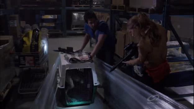 VampireDiariesWorld-dot-org_PrimevalNewWorld-1x061098.jpg VampireDiariesWorld-dot-org_PrimevalNewWorld-1x061098.jpg