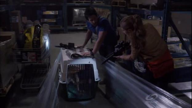 VampireDiariesWorld-dot-org_PrimevalNewWorld-1x061107.jpg VampireDiariesWorld-dot-org_PrimevalNewWorld-1x061107.jpg