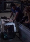 VampireDiariesWorld-dot-org_PrimevalNewWorld-1x061107.jpg