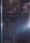 VampireDiariesWorld-dot-org_PrimevalNewWorld-1x061790.jpg