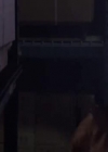 VampireDiariesWorld-dot-org_PrimevalNewWorld-1x061803.jpg