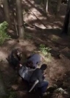 VampireDiariesWorld-dot-org_PrimevalNewWorld-1x07-2000.jpg
