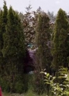 VampireDiariesWorld-dot-org_PrimevalNewWorld-1x09-0915.jpg