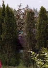 VampireDiariesWorld-dot-org_PrimevalNewWorld-1x09-0916.jpg