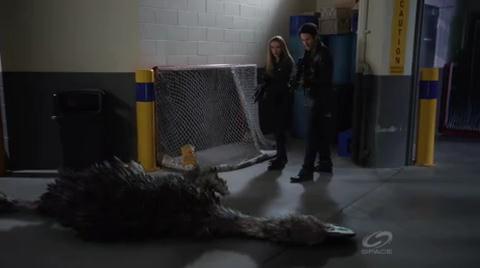 VampireDiariesWorld-dot-org_PrimevalNewWorld-1x10-2111.jpg