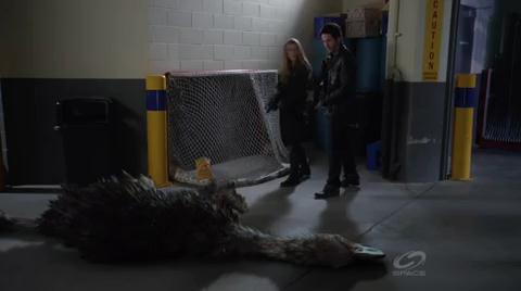 VampireDiariesWorld-dot-org_PrimevalNewWorld-1x10-2113.jpg