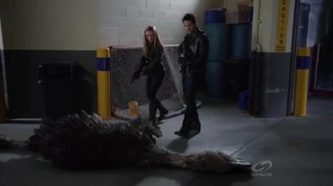 VampireDiariesWorld-dot-org_PrimevalNewWorld-1x10-2116.jpg