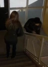 VampireDiariesWorld-dot-org_PrimevalNewWorld-1x10-0594.jpg