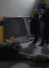 VampireDiariesWorld-dot-org_PrimevalNewWorld-1x10-2109.jpg
