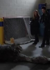 VampireDiariesWorld-dot-org_PrimevalNewWorld-1x10-2110.jpg