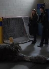 VampireDiariesWorld-dot-org_PrimevalNewWorld-1x10-2111.jpg