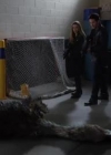 VampireDiariesWorld-dot-org_PrimevalNewWorld-1x10-2112.jpg