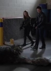 VampireDiariesWorld-dot-org_PrimevalNewWorld-1x10-2115.jpg
