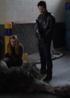VampireDiariesWorld-dot-org_PrimevalNewWorld-1x10-2126.jpg