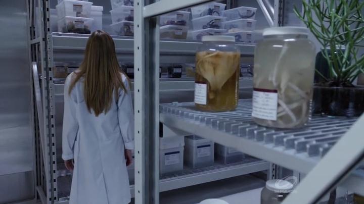 VampireDiariesWorld-dot-org_PrimevalNewWorld-1x11-2138.jpg