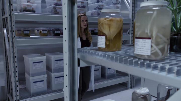 VampireDiariesWorld-dot-org_PrimevalNewWorld-1x11-2141.jpg
