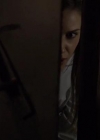 VampireDiariesWorld-dot-org_PrimevalNewWorld-1x11-1803.jpg