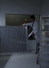VampireDiariesWorld-dot-org_PrimevalNewWorld-1x11-2100.jpg