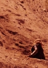 VampireDiariesWorld-dot-org_PrimevalNewWorld-1x12-1843.jpg