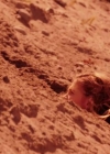 VampireDiariesWorld-dot-org_PrimevalNewWorld-1x12-1851.jpg