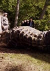 VampireDiariesWorld-dot-org_PrimevalNewWorldS01E13-1273.jpg